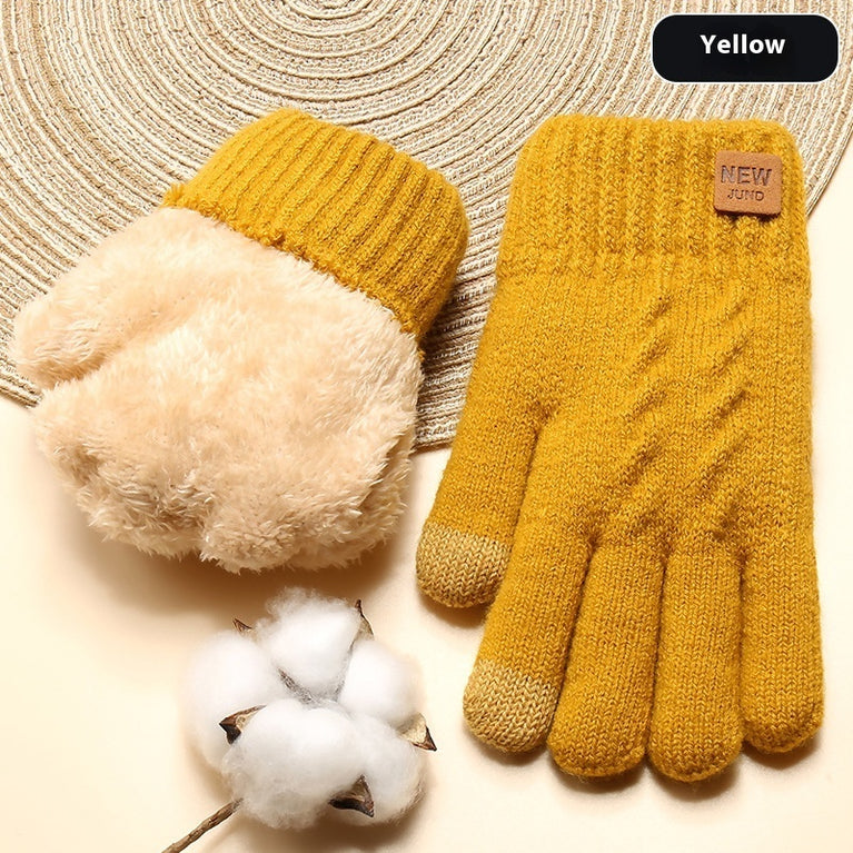 Winter Double Layer Fleece-lined Thick Gloves